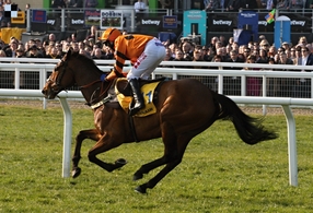 Výtečný Thistlecrack narušil irskou dominanci